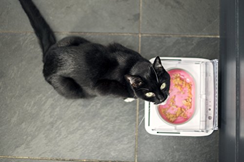 Motion Activated Sealed Pet Food Bowl for Cats and Dogs