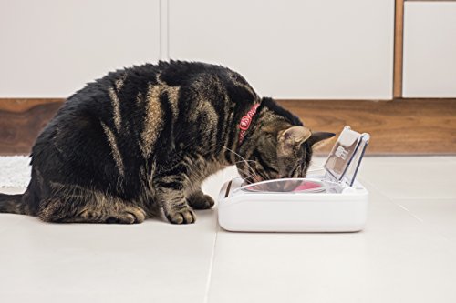 Motion Activated Sealed Pet Food Bowl for Cats and Dogs