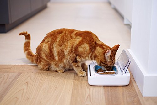 Motion Activated Sealed Pet Food Bowl for Cats and Dogs