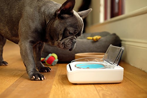 Motion Activated Sealed Pet Food Bowl for Cats and Dogs