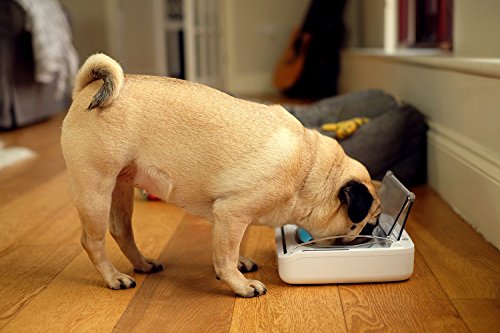 Motion Activated Sealed Pet Food Bowl for Cats and Dogs