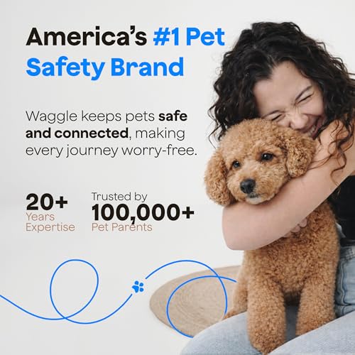Pet Safety Temperature and Humidity Sensor for RV and Car