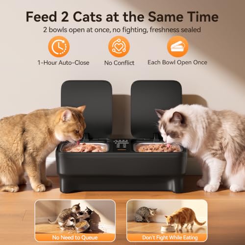 Automatic Wet Food Cat Feeder with Cooling and Preheating