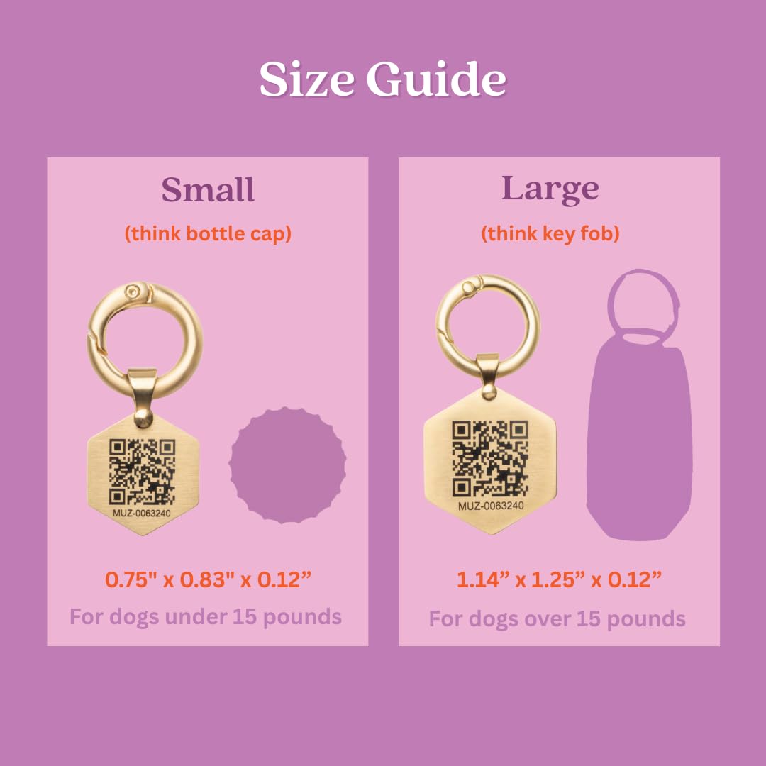 QR Code Pet ID Tag with Custom Digital Profile and App Access