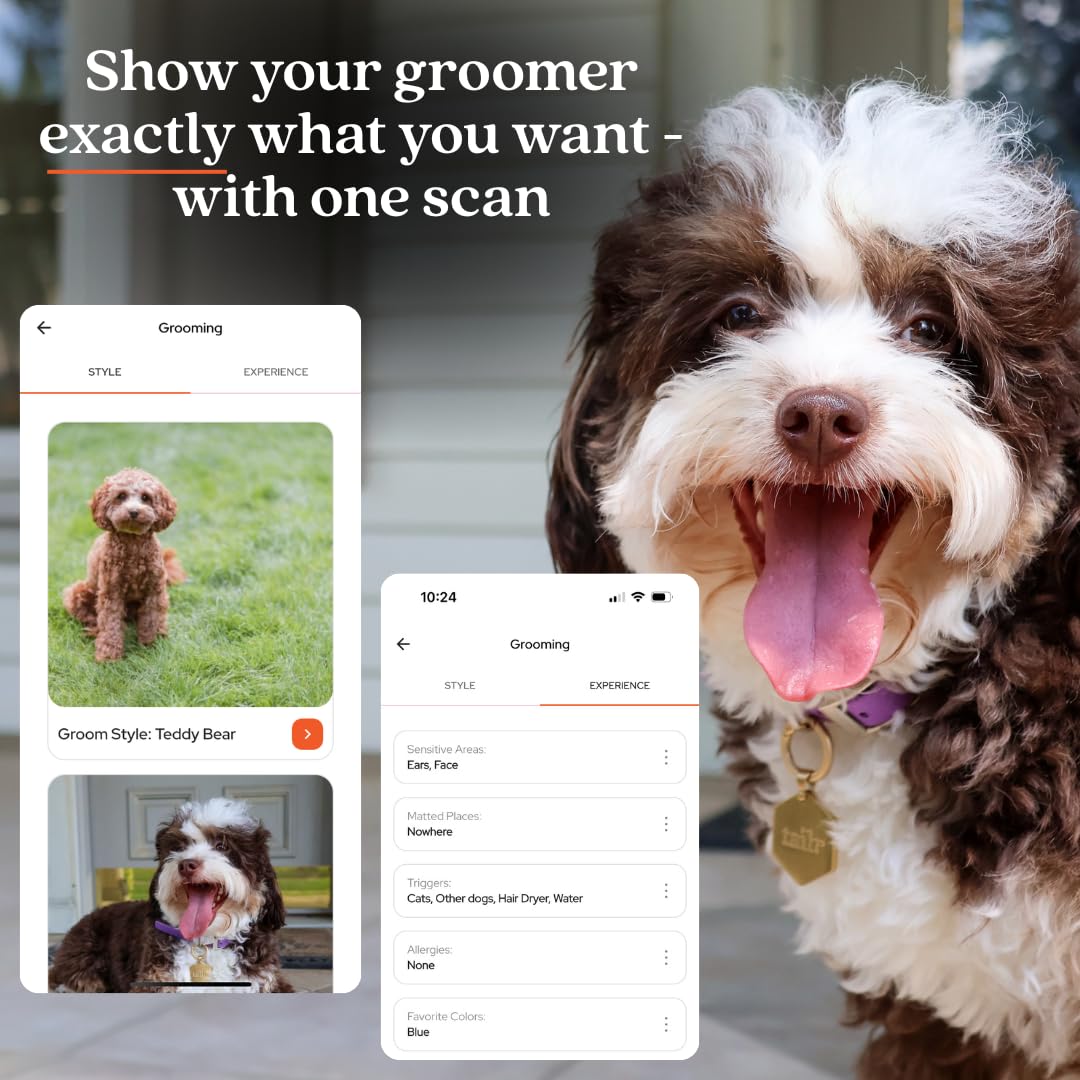 QR Code Pet ID Tag with Custom Digital Profile and App Access