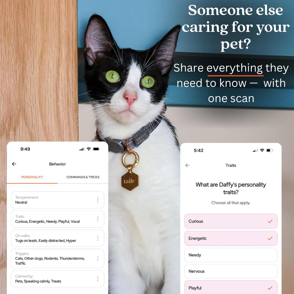 QR Code Pet ID Tag with Custom Digital Profile and App Access