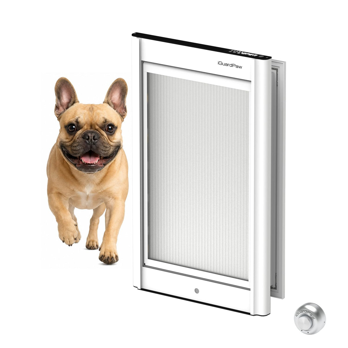 Door Mounted Pet Door with Secure Entry for Cats and Dogs