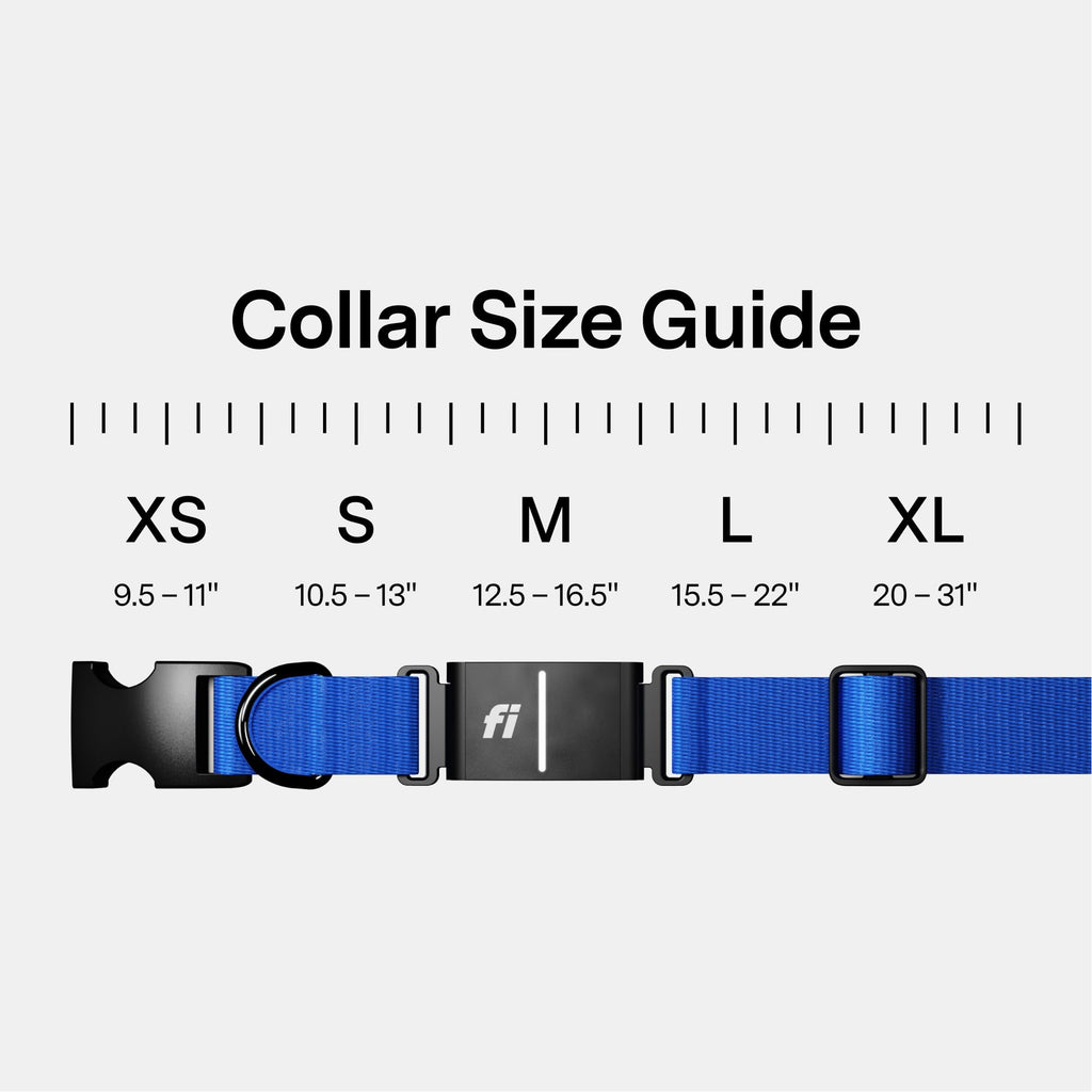 Smart Dog Collar with GPS and Health Tracking Membership