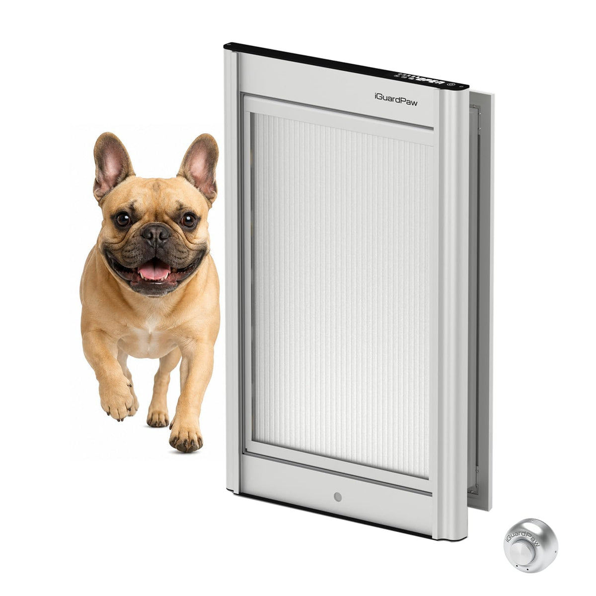 Door Mounted Pet Door with Secure Entry for Cats and Dogs