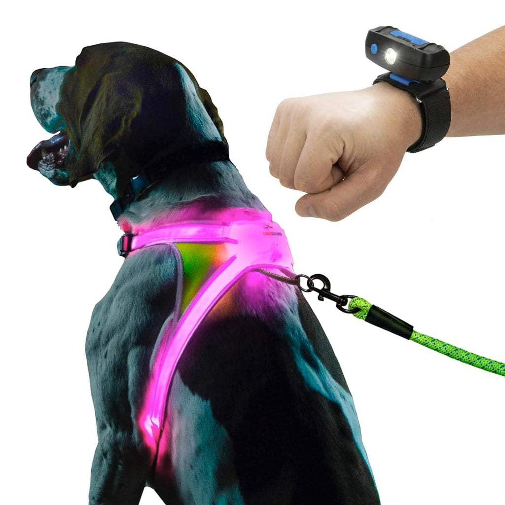 Rechargeable Reflective LED Dog Harness with Multicolor Lights