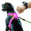 Rechargeable Reflective LED Dog Harness with Multicolor Lights