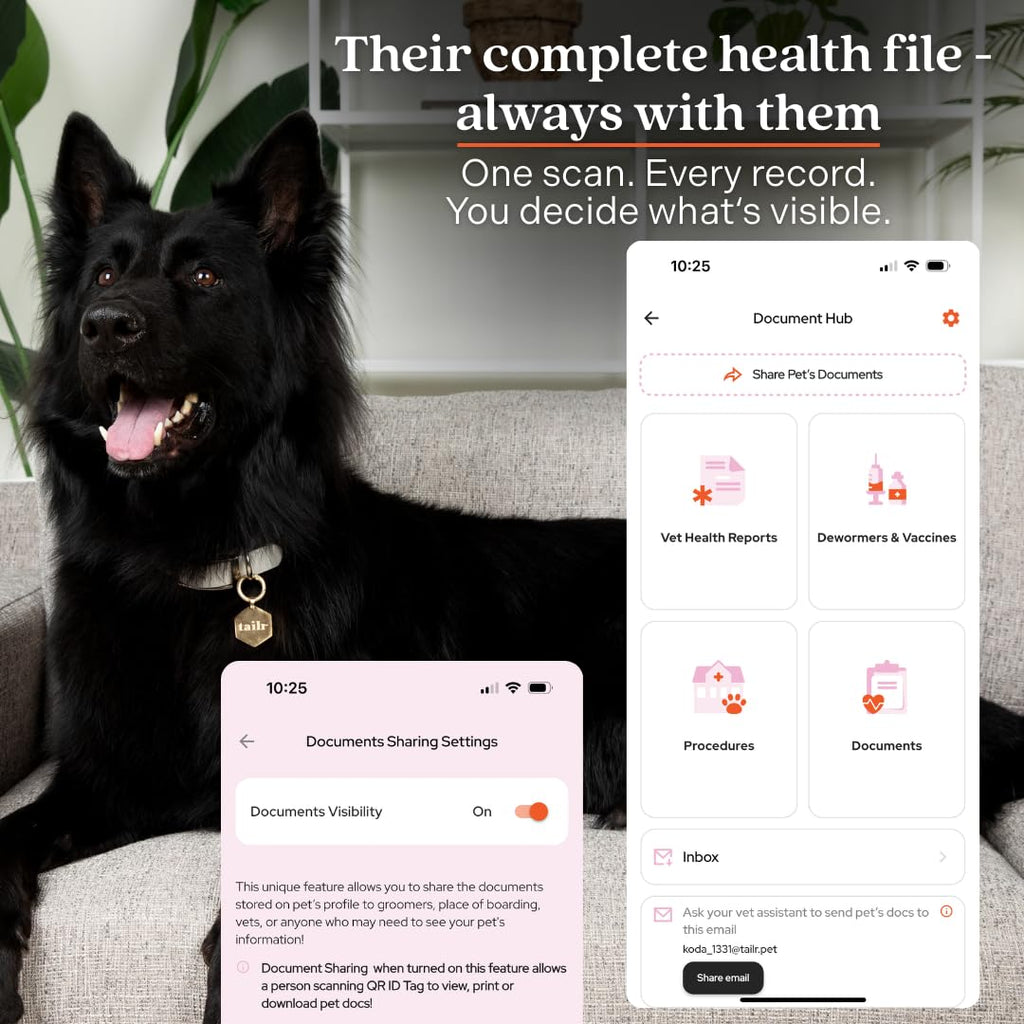 QR Code Pet ID Tag with Custom Digital Profile and App Access