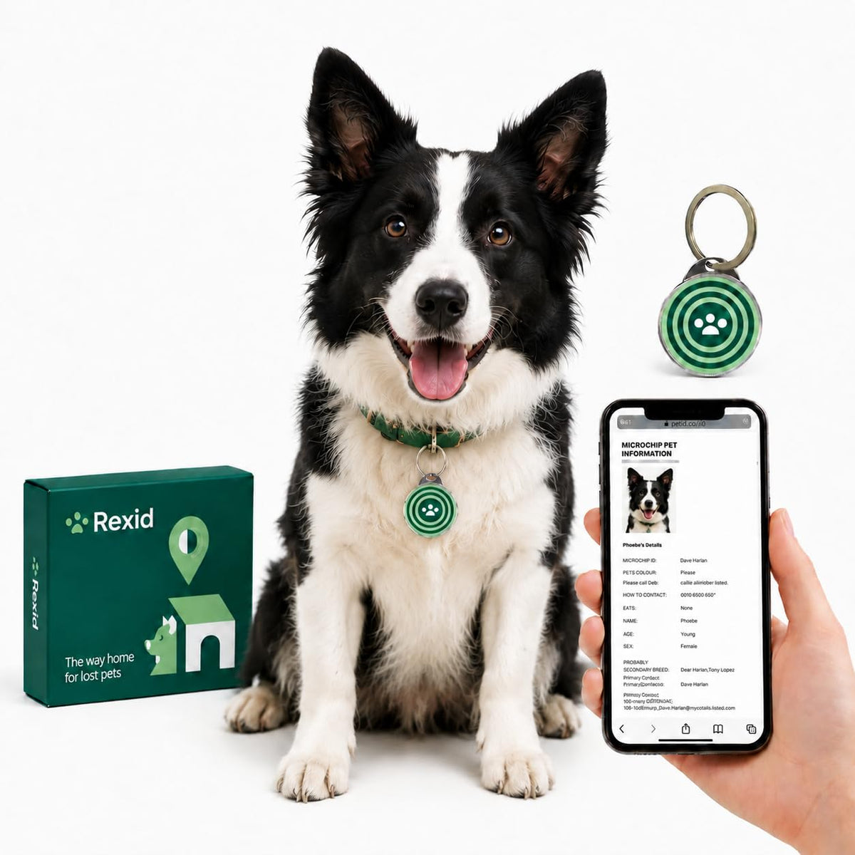Smart QR Code Dog ID Tag with Online Profile and Owner Contact