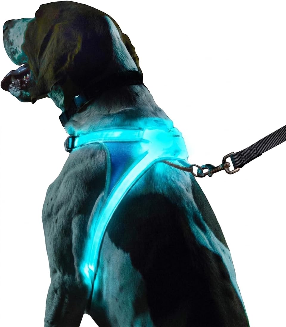 Rechargeable Reflective LED Dog Harness with Multicolor Lights