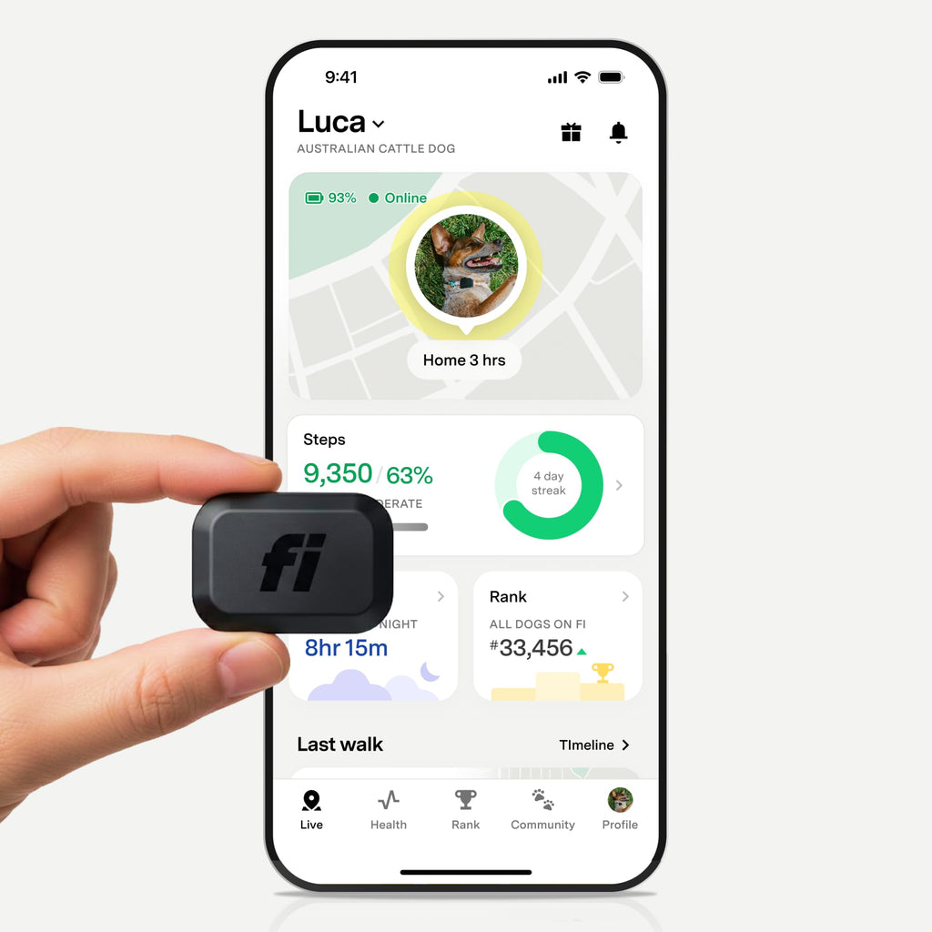 Mini Smart GPS Dog Tracker with Health Tracking Waterproof Design