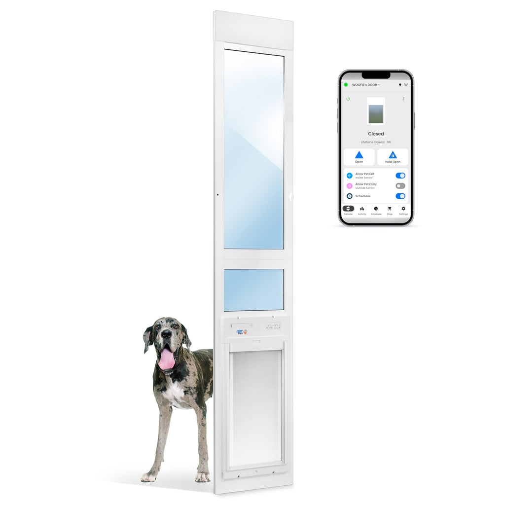 WiFi Automatic Smart Dog Door with Roll Up Entry Control