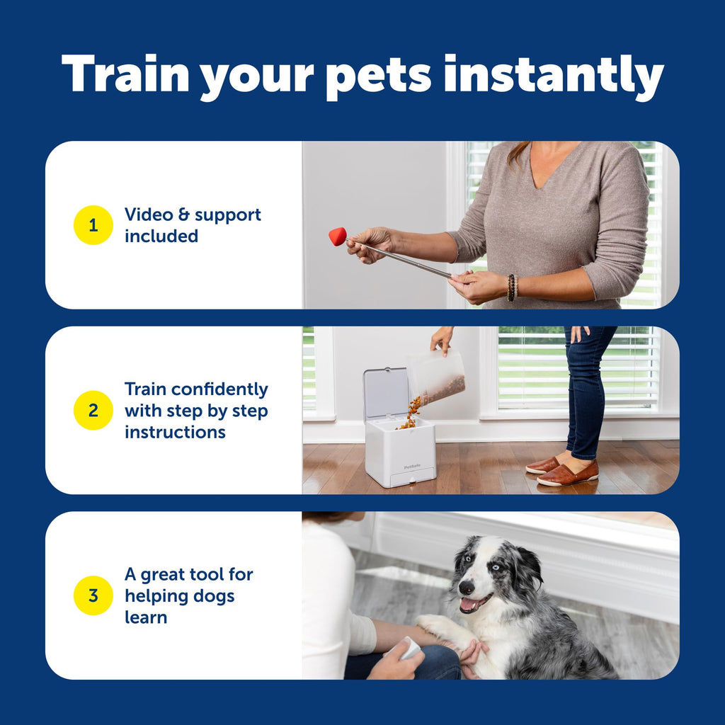 Remote Treat Dispenser for Dog Training and Reward Sessions