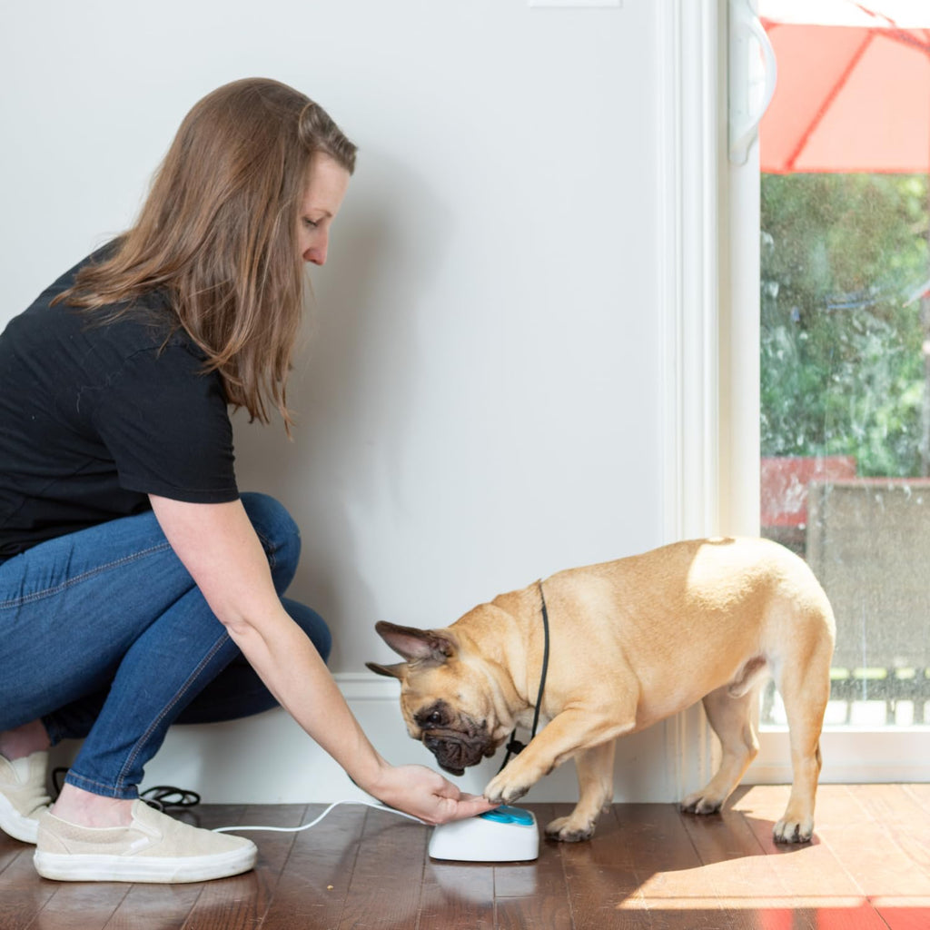 Dog Potty Training Talking Button with Medical Alert Camera