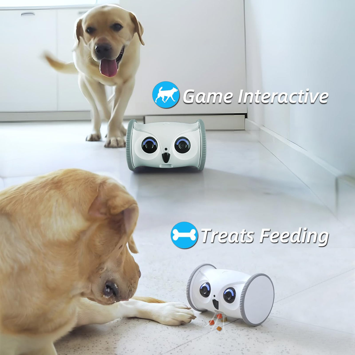 1080P Mobile Pet Camera Robot with Treat Dispenser and App Control