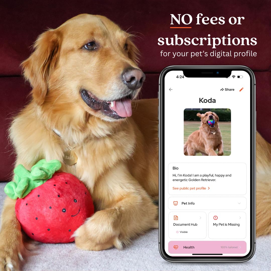 QR Code Pet ID Tag with Custom Digital Profile and App Access