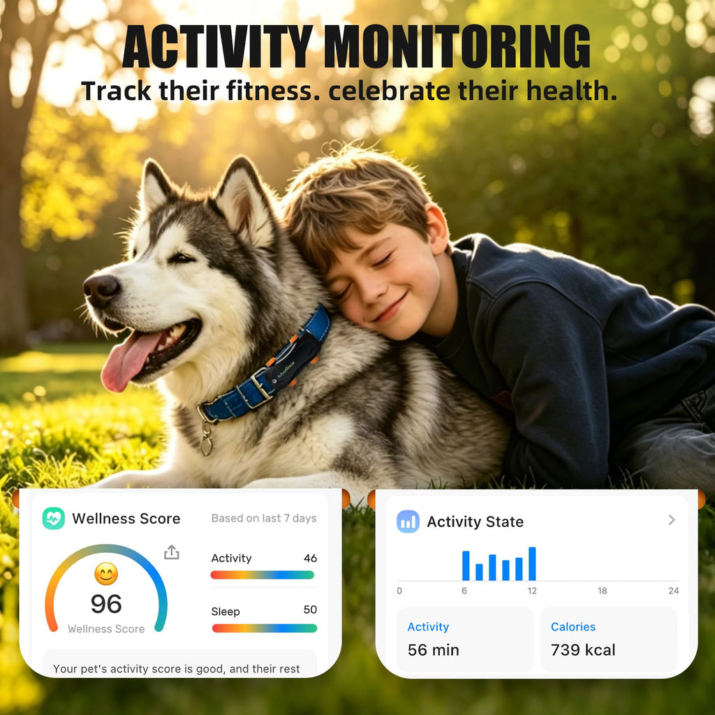 GPS Dog Tracker with Virtual Fence and AI Health Monitoring