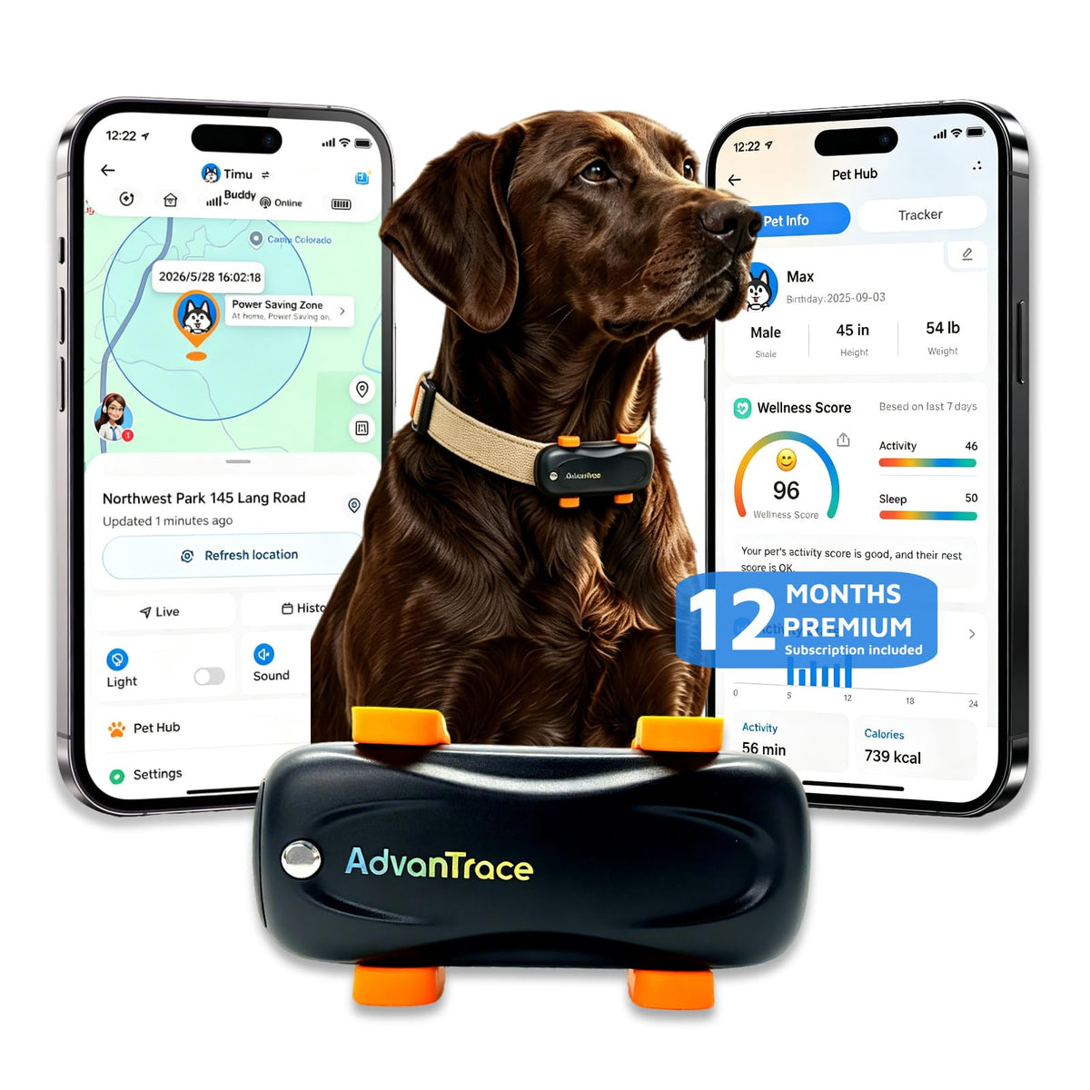 GPS Dog Tracker with Virtual Fence and AI Health Monitoring