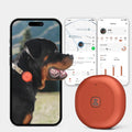 GPS Bluetooth Pet Tracker with Virtual Fence and Health Monitoring