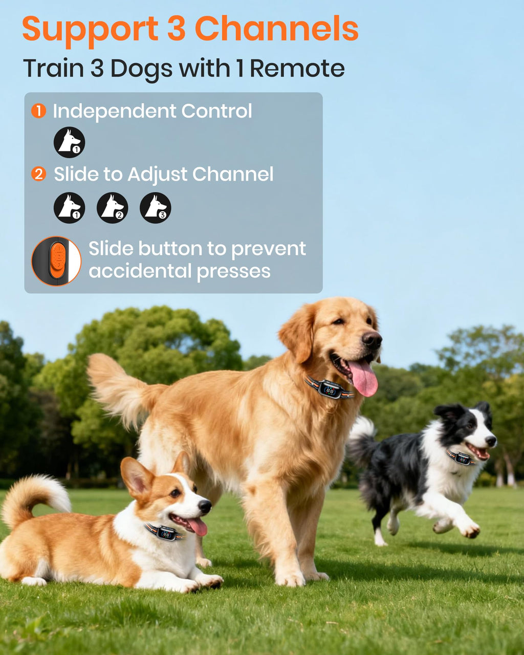 2 in 1 Dog Training Collar with Remote and Anti Bark Modes