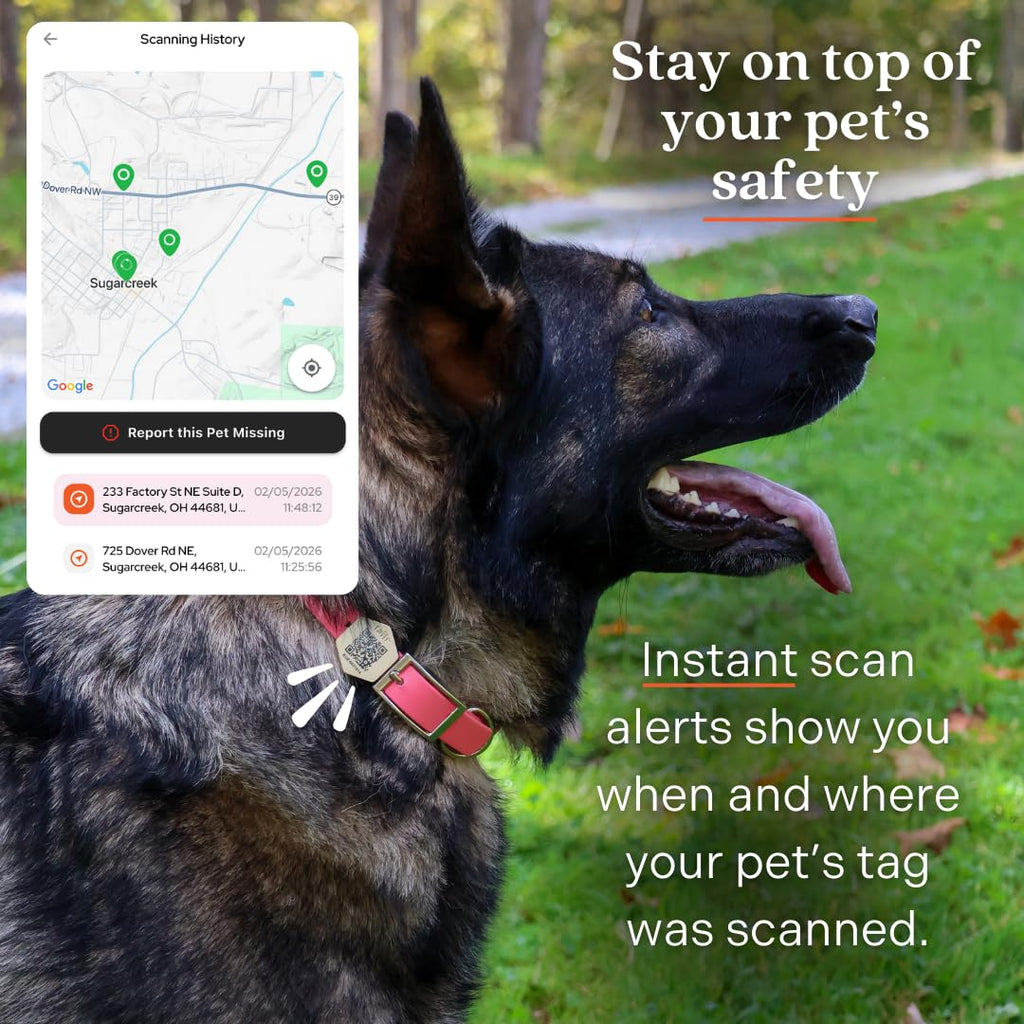 QR Code Pet ID Tag with Custom Digital Profile and App Access