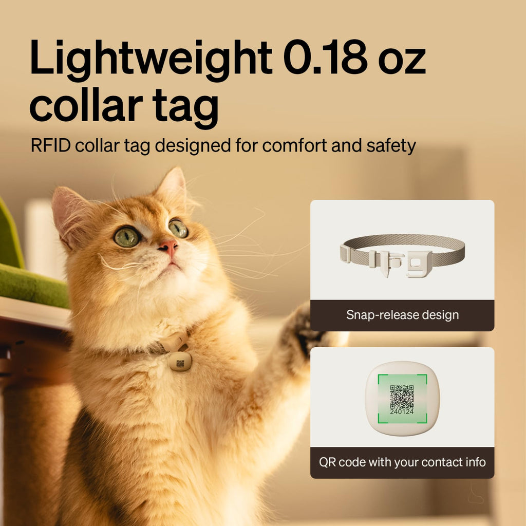 RFID Automatic Cat Feeder with Collar Tag Meal Access