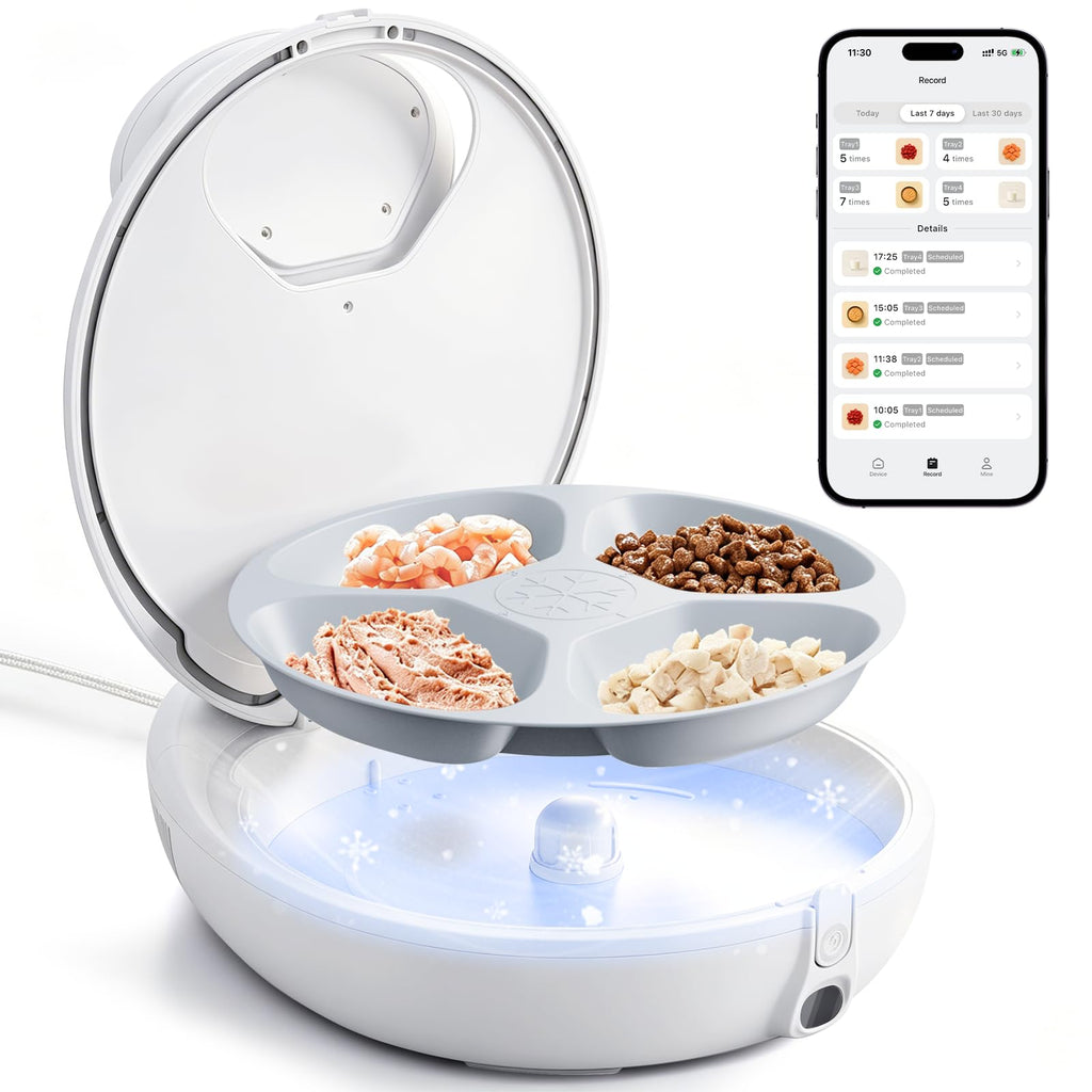 Automatic Cat Food Feeder