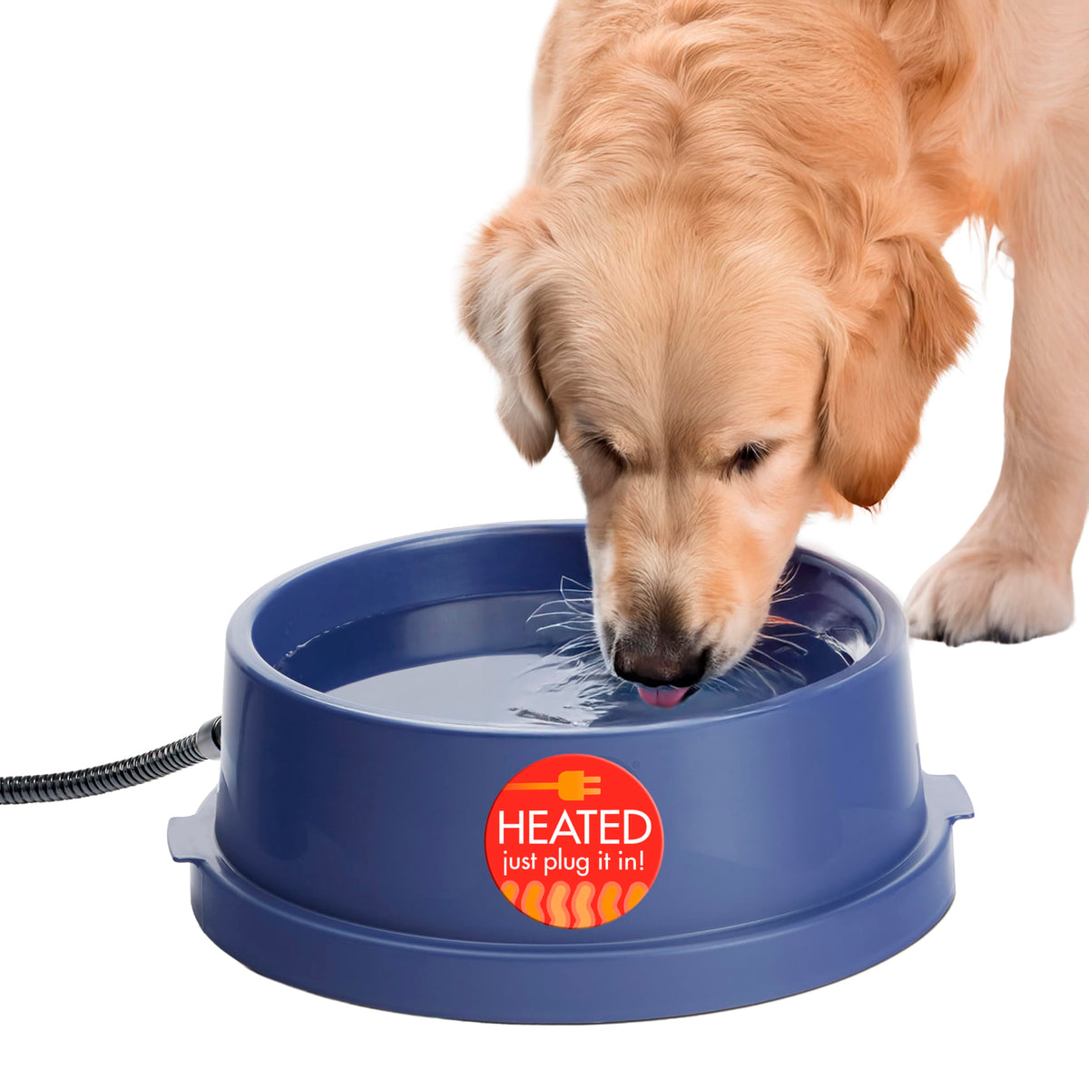 Outdoor Heated Pet Water Bowl for Cats and Dogs in Winter
