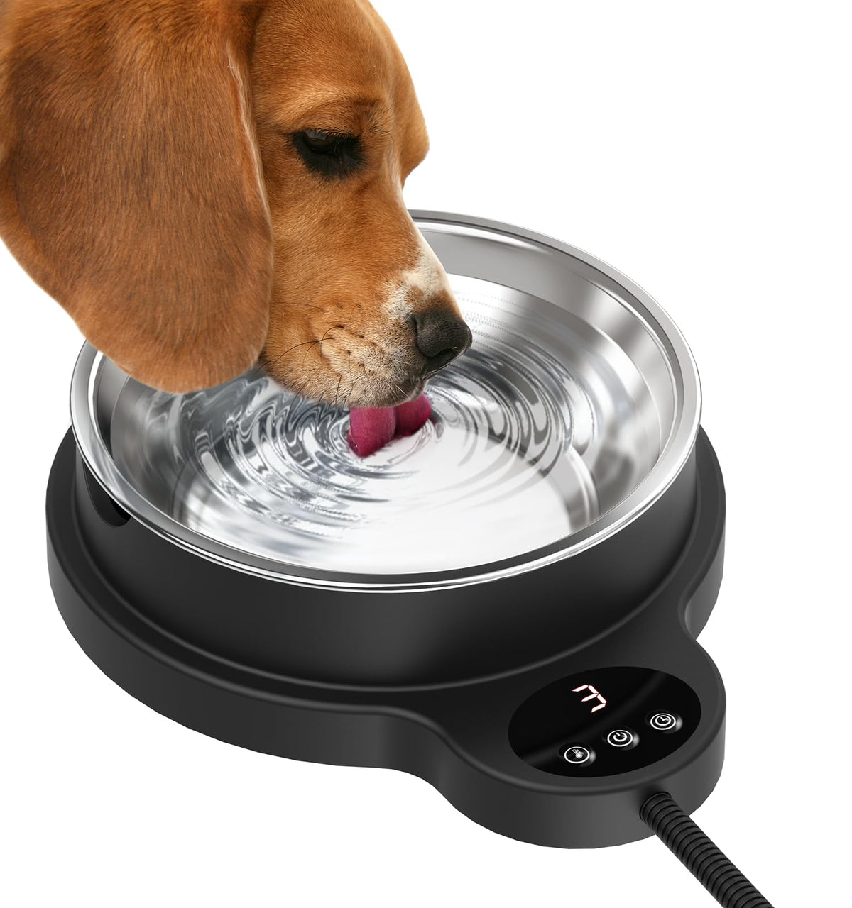 Heated Pet Water Bowl with Temperature Control and Timer