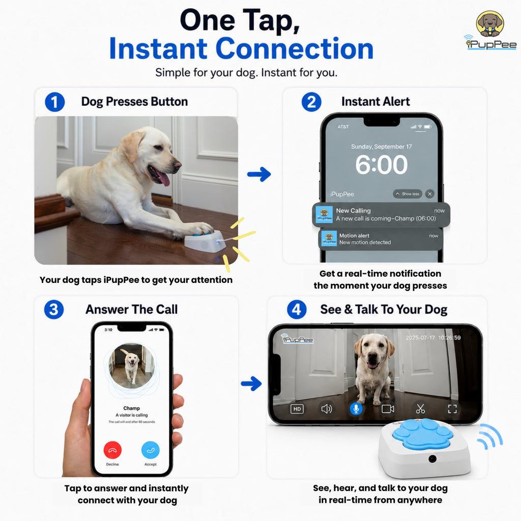 Dog Potty Training Talking Button with Medical Alert Camera