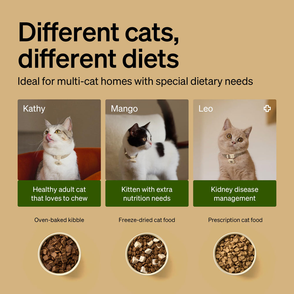 RFID Automatic Cat Feeder with Collar Tag Meal Access