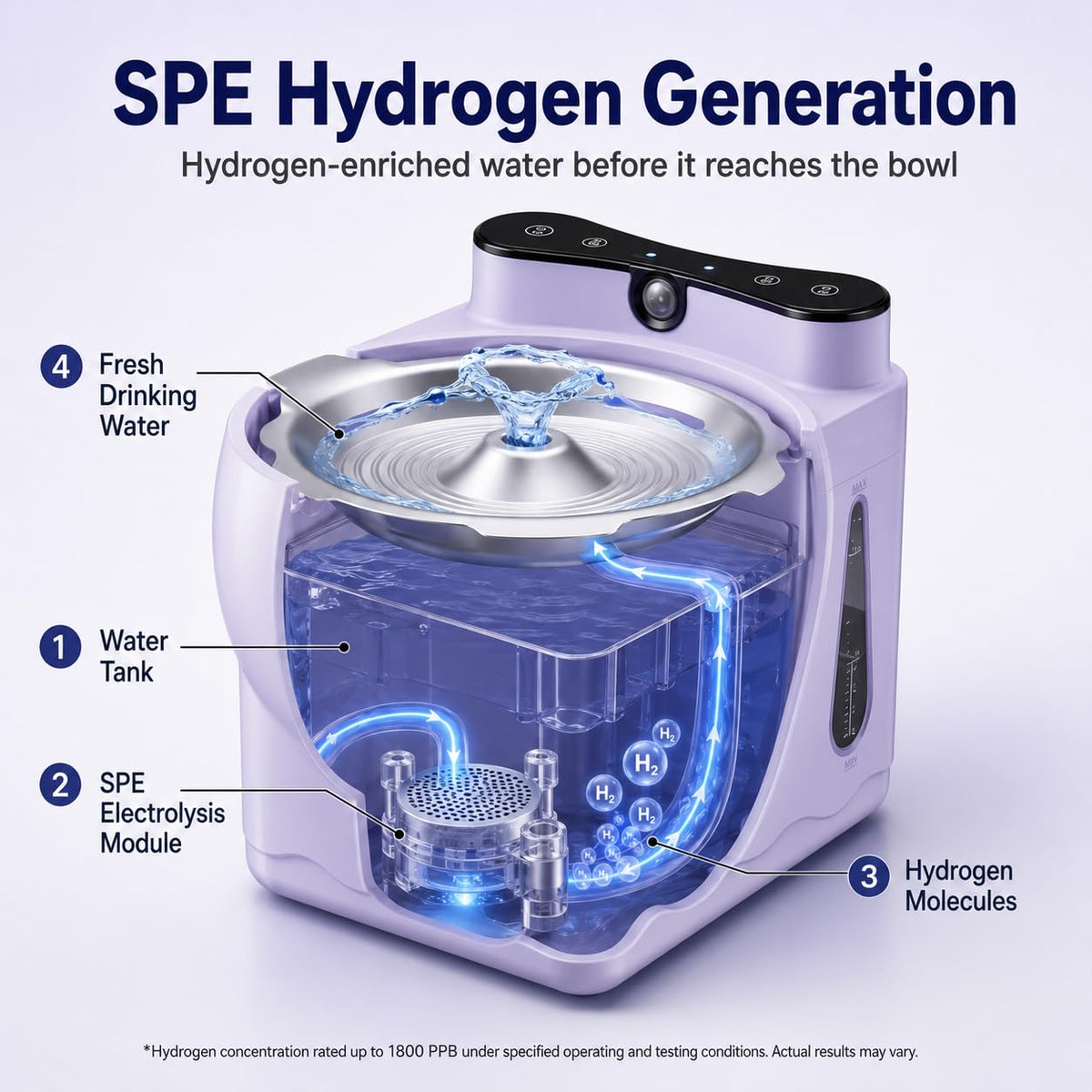Hydrogen Cat Water Fountain with Smart Sensor Stainless Steel Bowl