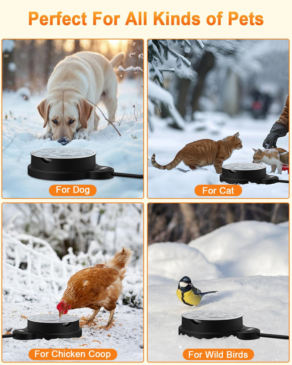 Heated Pet Water Bowl with Temperature Control and Timer