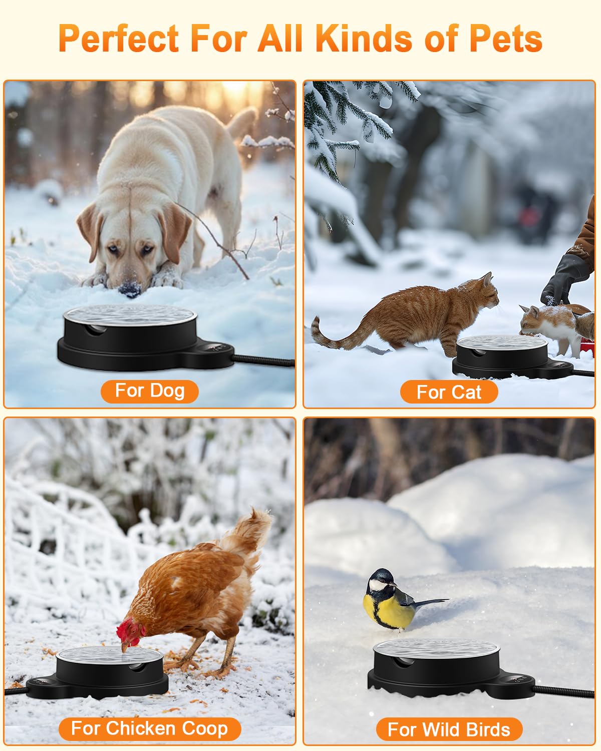Heated Pet Water Bowl with Temperature Control and Timer