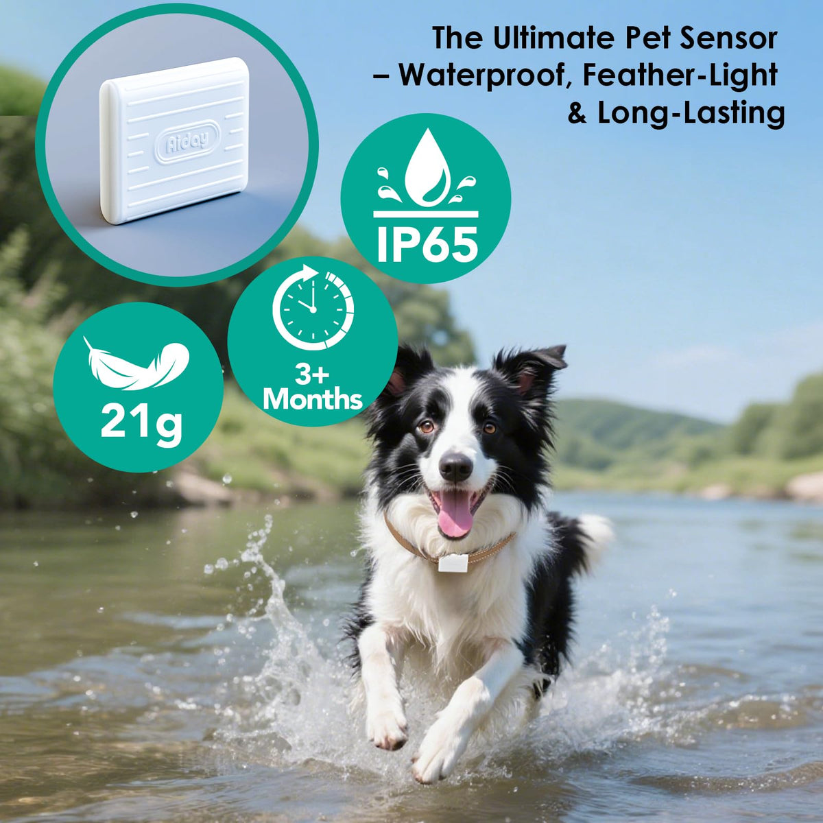 Automatic Smart Dog Door for Secure Pet Entry and Access