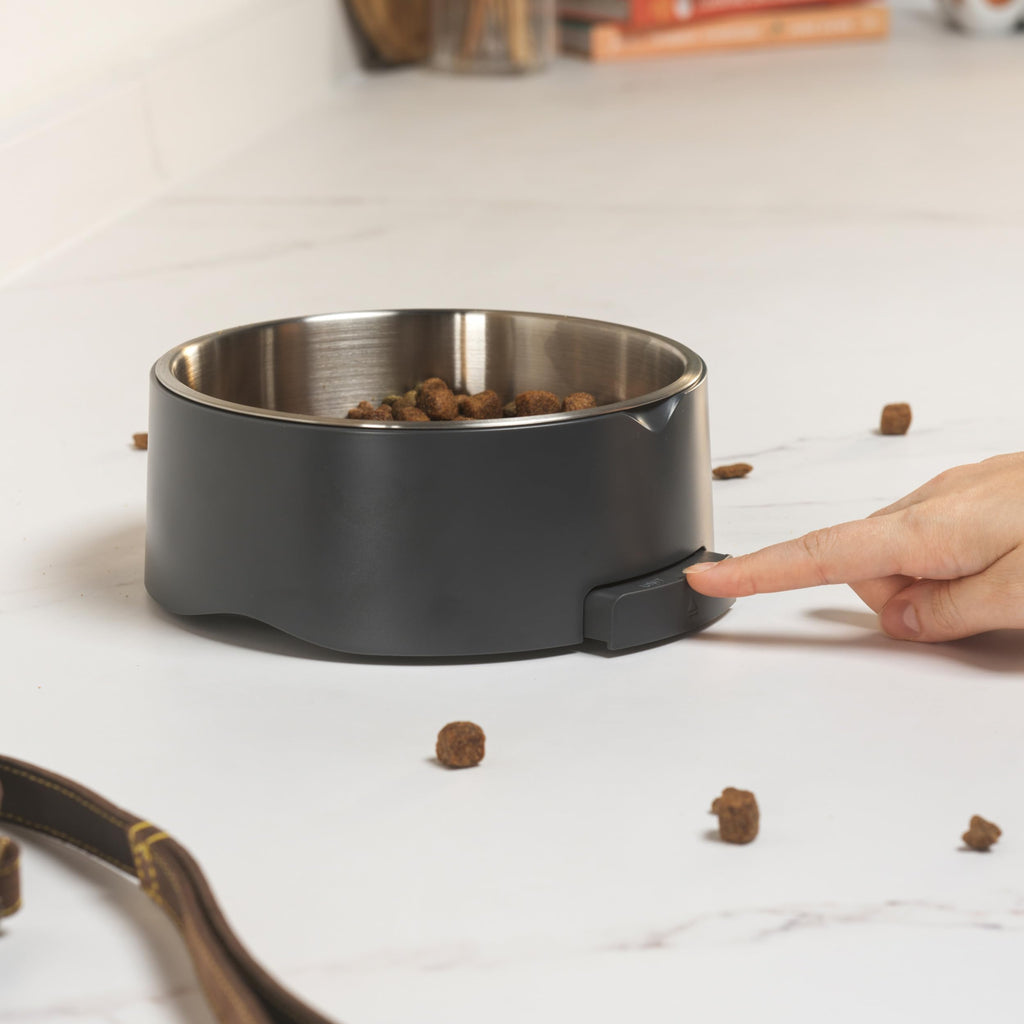 Digital Pet Food Scale Bowl with Pull Out LCD Display