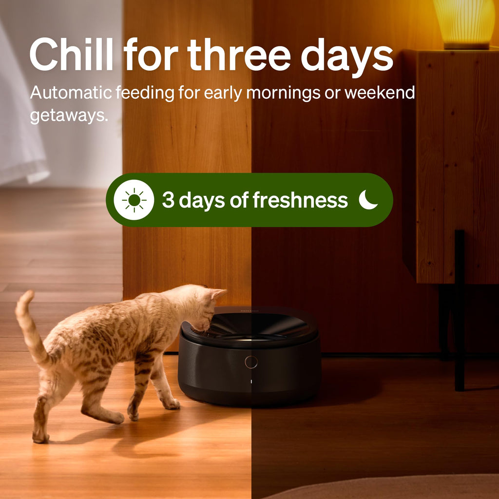 Automatic Wet Food Cat Feeder with Stainless Steel Bowl