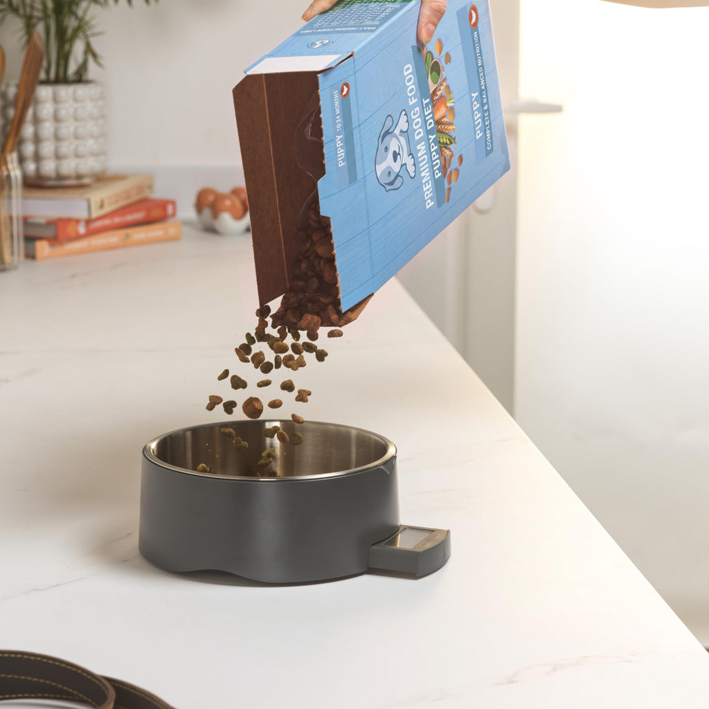 Digital Pet Food Scale Bowl with Pull Out LCD Display