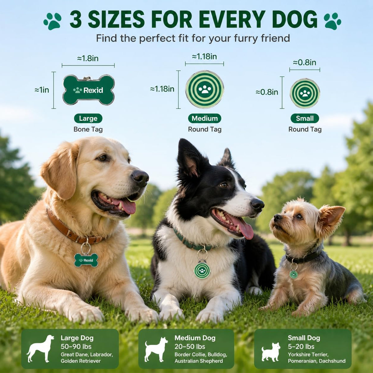 Smart QR Code Dog ID Tag with Online Profile and Owner Contact