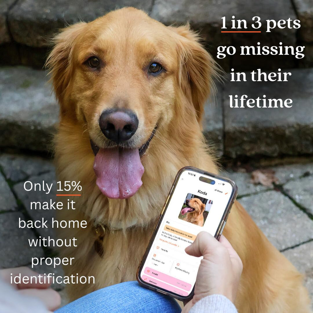 QR Code Pet ID Tag with Custom Digital Profile and App Access