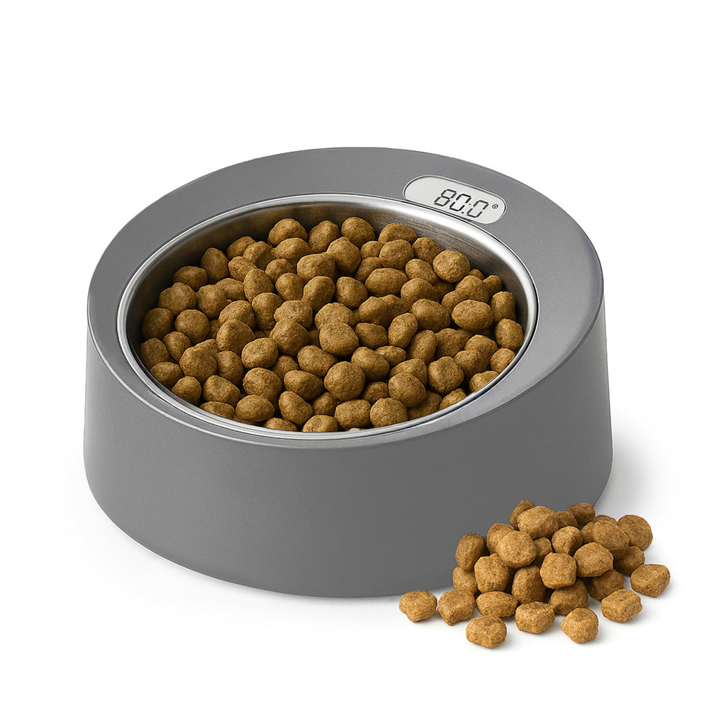 Stainless Steel Pet Feeding Bowl with Built In Digital Scale