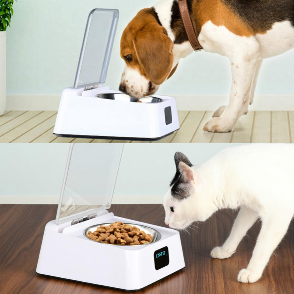 Automatic Pet Feeder with Infrared Sensor Lid and Display