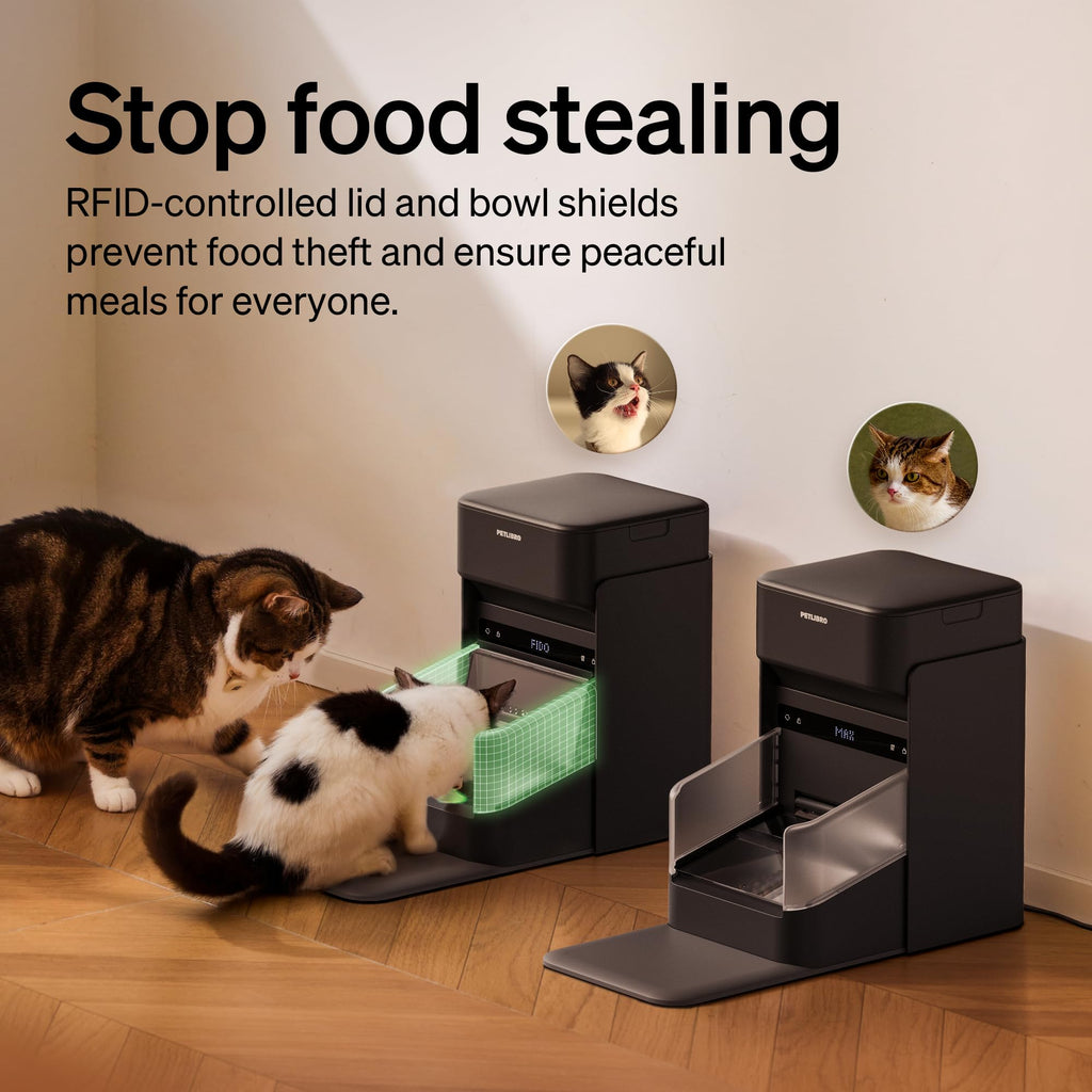 RFID Automatic Cat Feeder with Collar Tag Meal Access