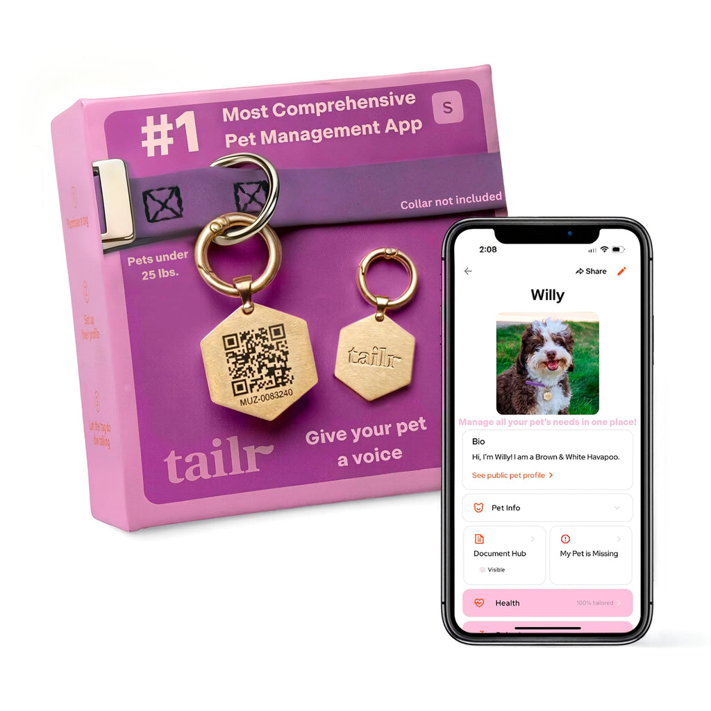 QR Code Pet ID Tag with Custom Digital Profile and App Access