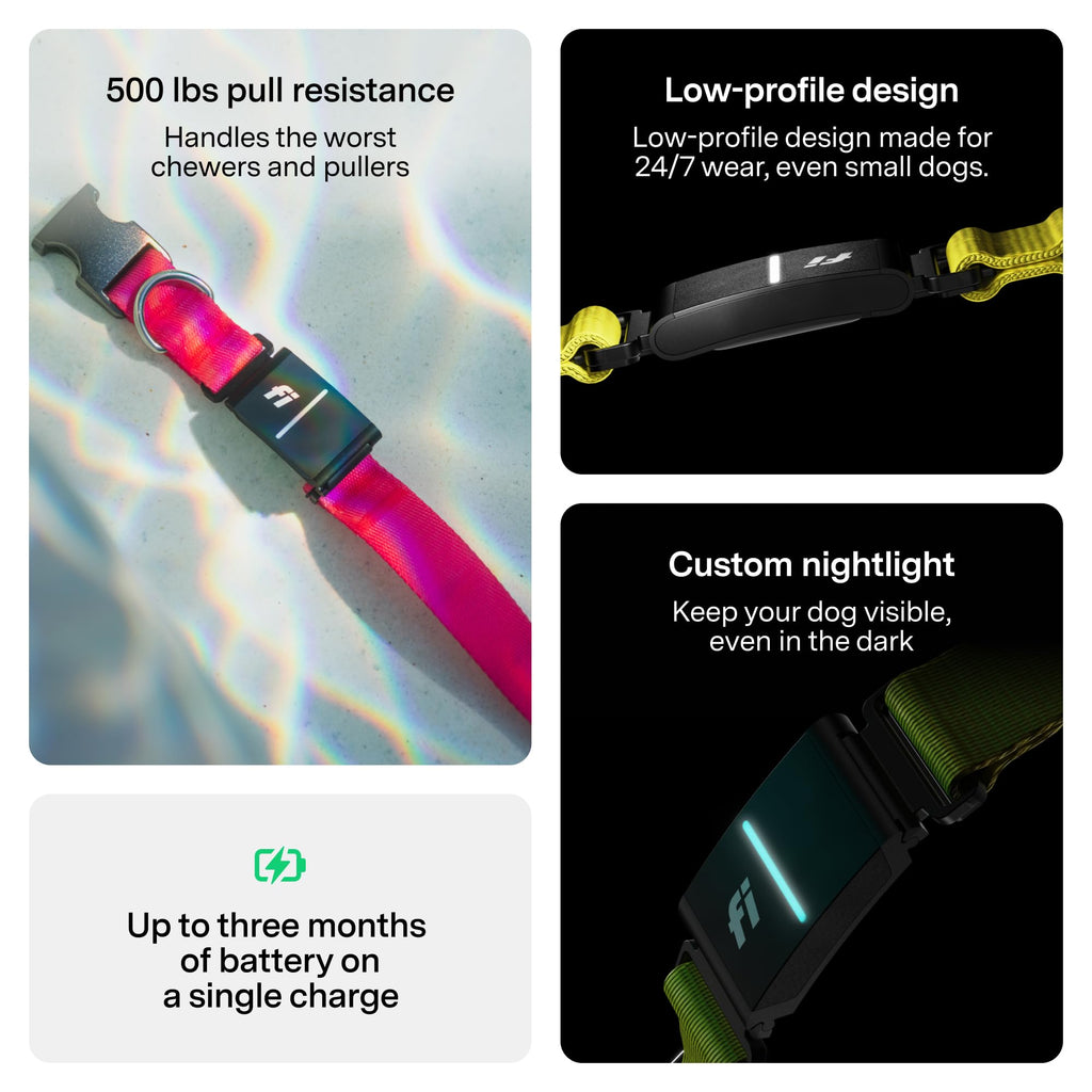 Smart Dog Collar with GPS and Health Tracking Membership
