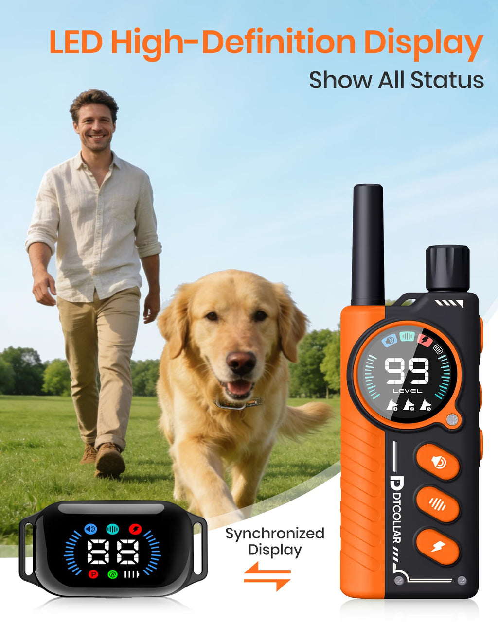2 in 1 Dog Training Collar with Remote and Anti Bark Modes